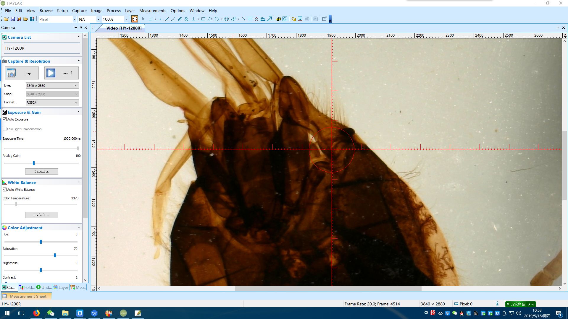 Microscope Camera Measure Software
